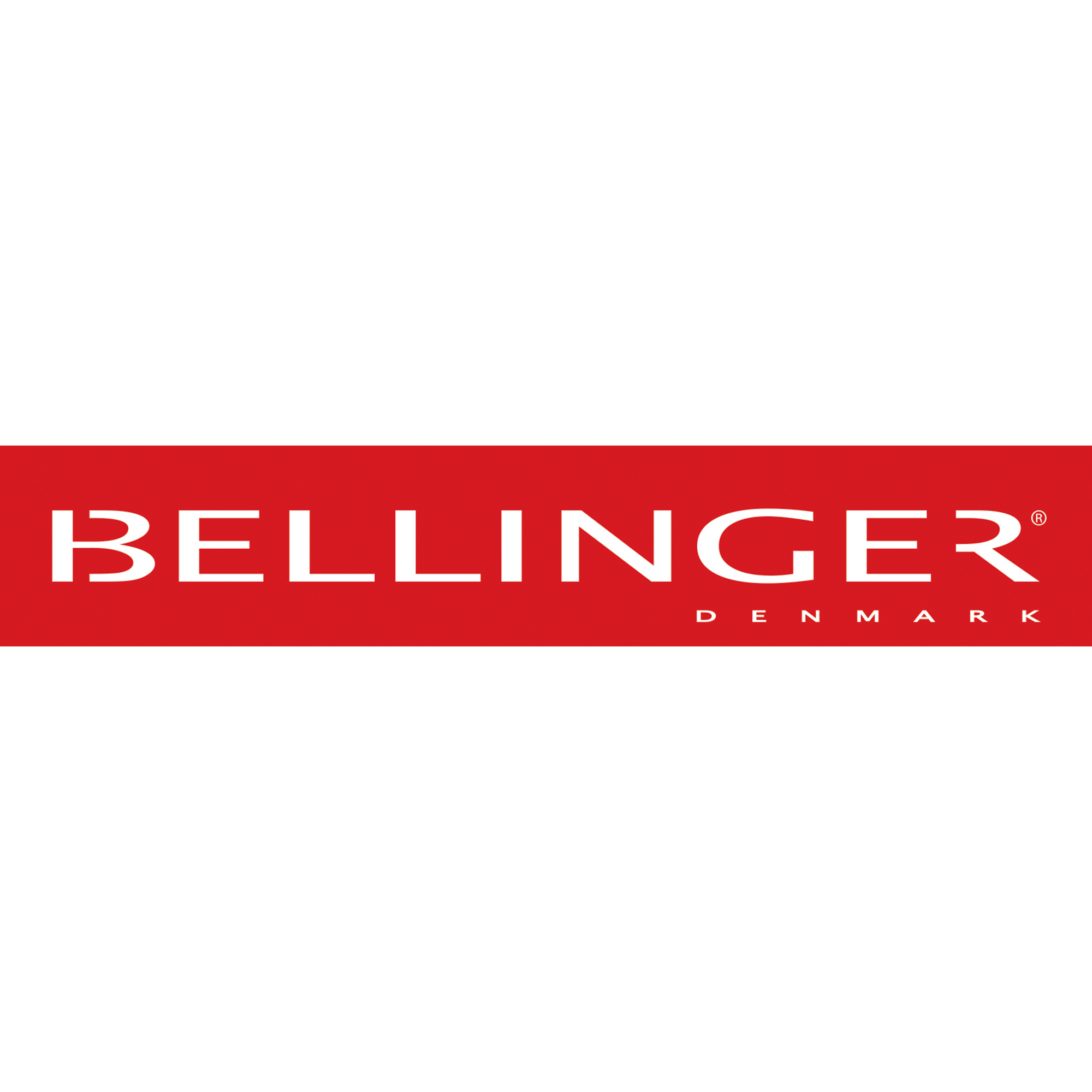 Read more about the article BELLINGER HOUSE